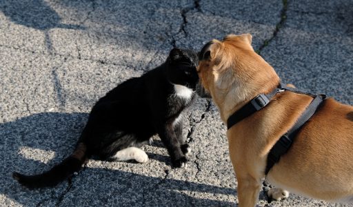 a-meeting-g5dc9cf6e2_1920