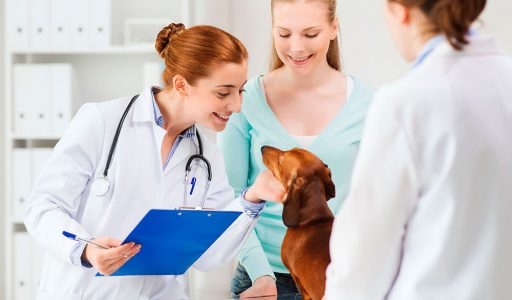 area-lucrativa-medicina-veterinaria