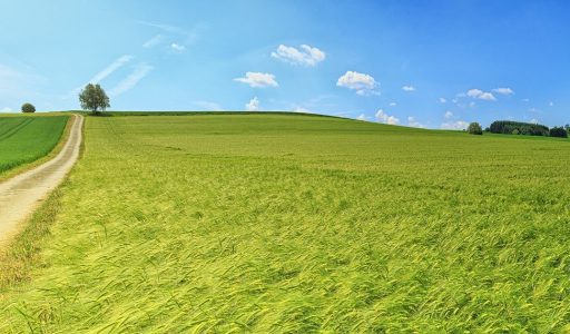 panorama-3629120_1920
