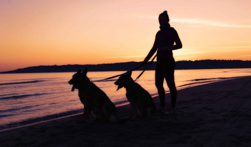 woman-silhouette-g2fa0cca72_1920